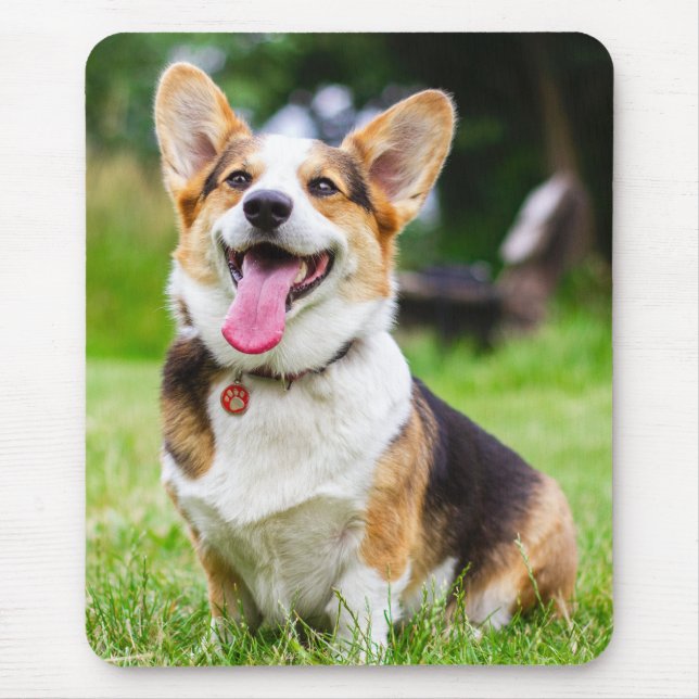 Tri colour Pembroke Welsh Corgi Puppy Dog Mouse Mat (Front)