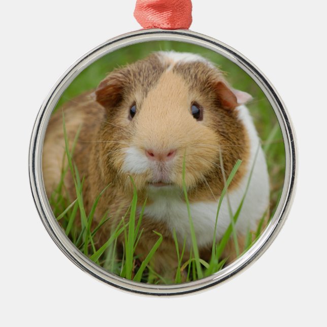 Tri Colour Pet Guinea Pig Metal Tree Decoration (Front)