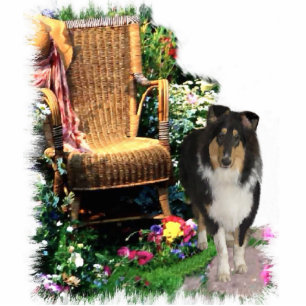 Tri-Colour Rough Collie Art Gifts Standing Photo Sculpture
