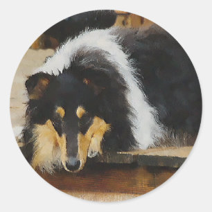 Tri Colour Rough Collie Gifts Art Classic Round Sticker