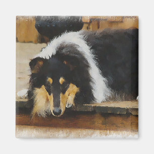 Tri Colour  Rough Collie Gifts Art Magnet