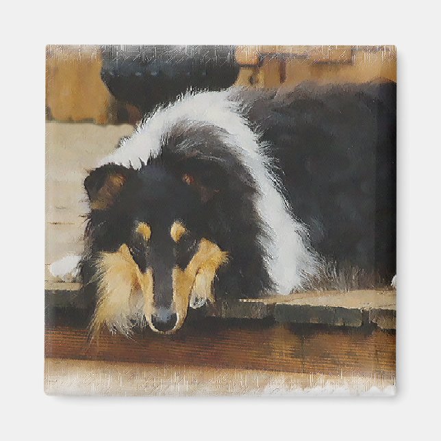 Tri Colour  Rough Collie Gifts Art Magnet (Front)