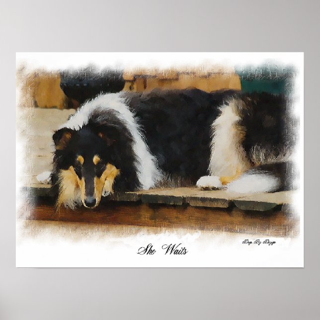 Tri Colour Rough Collie Gifts Art Poster (Front)