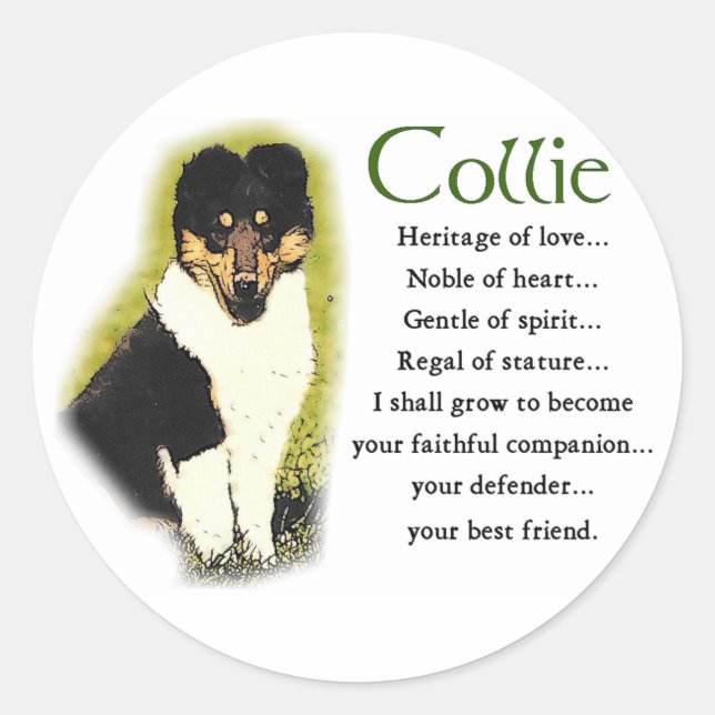 Tri Colour Rough Collie Gifts Classic Round Sticker (Front)