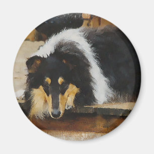 Tri-Colour Rough Collie Gifts Magnet