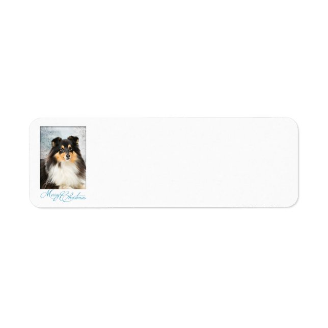 Tri-Colour Sheltie Christmas Return Address Labels (Front)