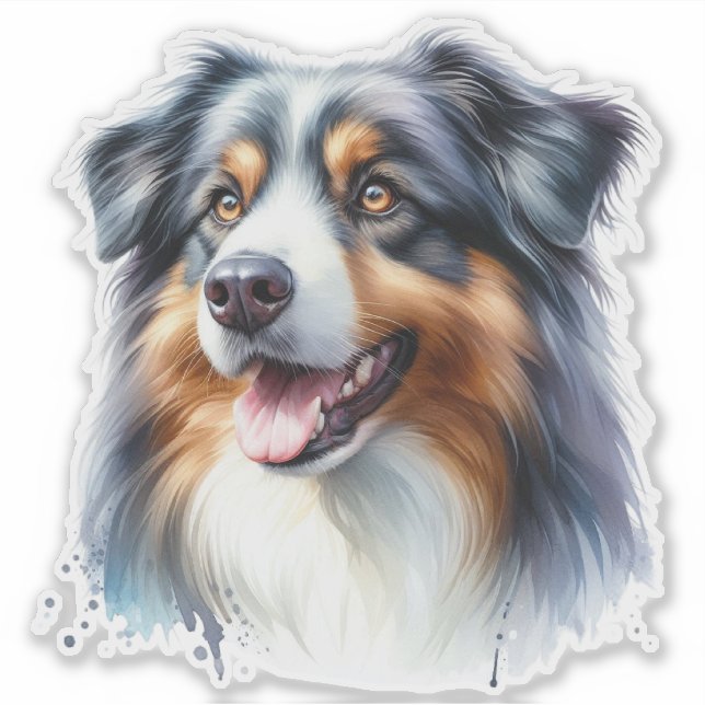 Tri-Coloured Australian Shepherd Dog (Front)