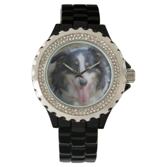 Tri Coloured Border Collie Dog Face Watch (Front)