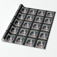 Tri Coloured Border Collie Dog