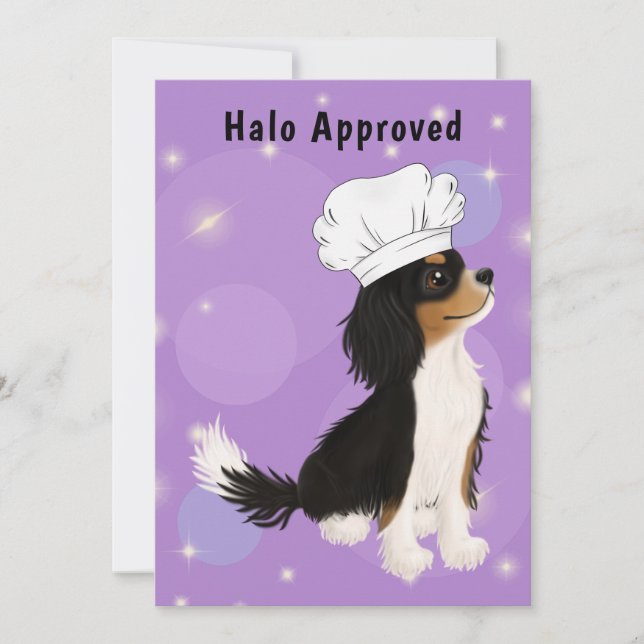 Tri Coloured Cavalier in Chef's Hat Thank You Card (Front)