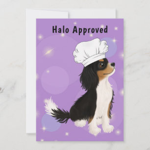 Tri Coloured Cavalier in Chef's Hat Thank You Card