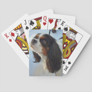 Tri-Coloured Cavalier Spaniel Playing Cards