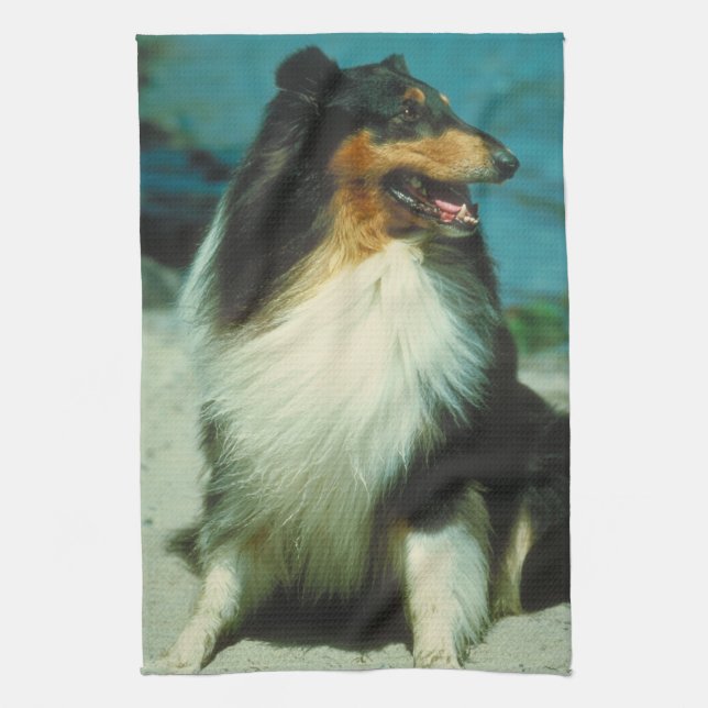Tri-Coloured Collie Dog Kitchen Towel (Vertical)