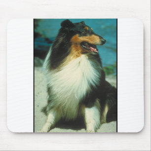 Tri-Coloured Collie Rough Coat Mouse Mat
