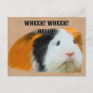 Tri-Coloured Guinea Pig Postcard