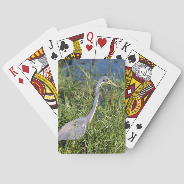 Tri Coloured Heron Playing Cards (Back)