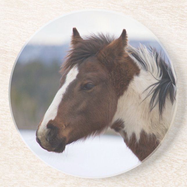 Tri-Coloured Horse Coaster (Front)