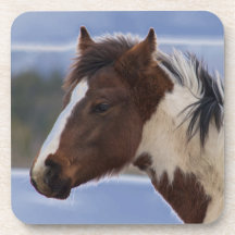 Tri-Coloured Horse