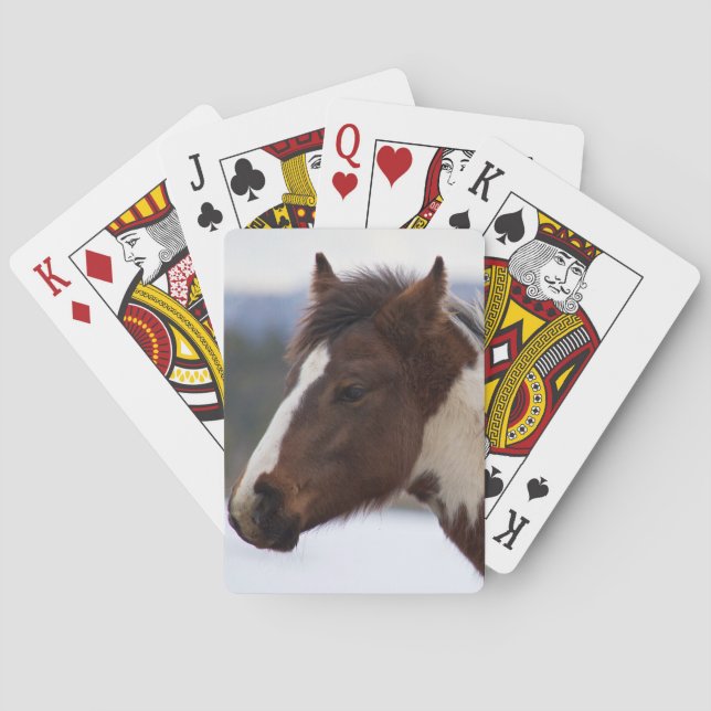 Tri-Coloured Horse Playing Cards (Back)