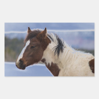 Tri-Coloured Horse Rectangular Sticker