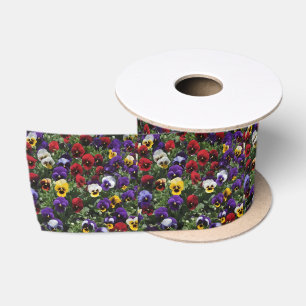 Tri Coloured Pansy Field, Satin Ribbon