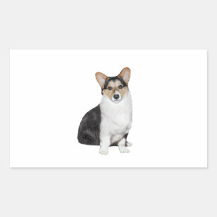 Tri Coor Welsh Corgi Rectangular Sticker