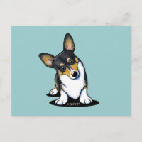 Tri Curious Corgi Postcard