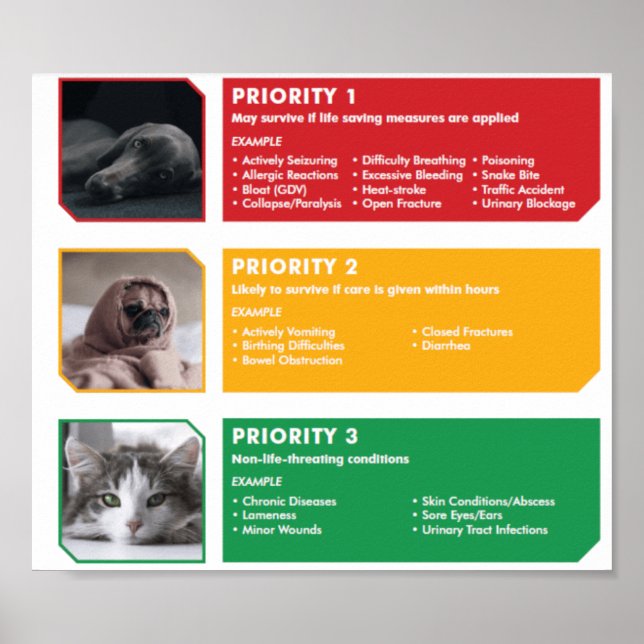 Triage Poster (Front)