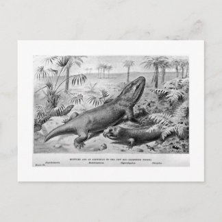 Triassic reptiles and amphibian art postcard