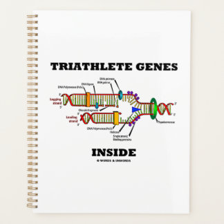 Triathlete Genes Inside DNA Replication Planner