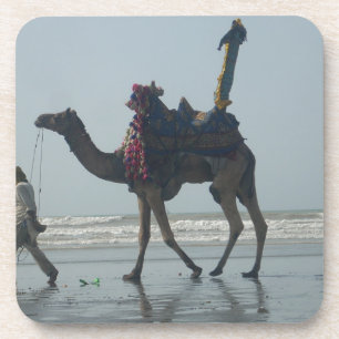 Tribal Camel Ride: Morning Tide Sands & Sea Coaster