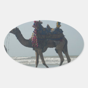 Tribal Camel Ride: Morning Tide Sands & Sea Oval Sticker