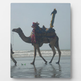 Tribal Camel Ride: Morning Tide Sands & Sea Plaque