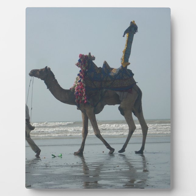 Tribal Camel Ride: Morning Tide Sands & Sea Plaque (Front)