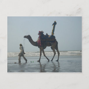 Tribal Camel Ride: Morning Tide Sands & Sea Postcard