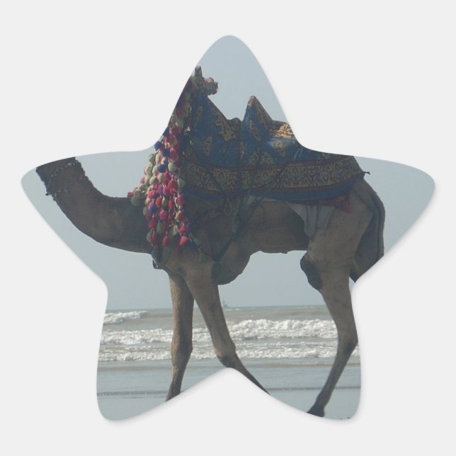 Tribal Camel Ride: Morning Tide Sands & Sea Star Sticker (Front)