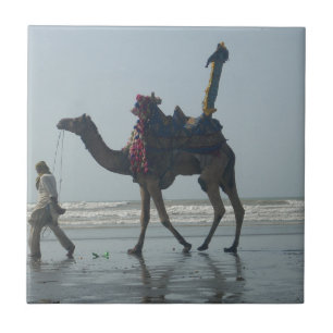 Tribal Camel Ride: Morning Tide Sands & Sea Tile