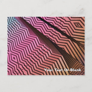 Tribal Divisions Postcard