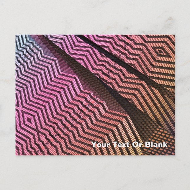 Tribal Divisions Postcard (Front)