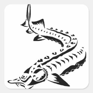 Tribal Sturgeon - Huso Beluga Square Sticker