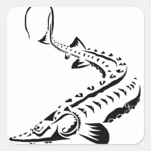 Tribal Sturgeon - Shovelnose Square Sticker