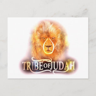 Tribe of Judah Post Card1 Postcard