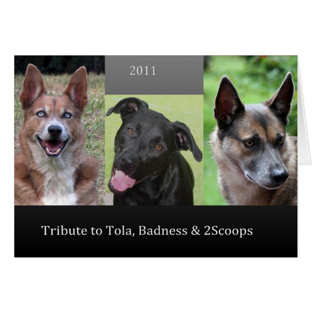 Tribute (Front Horizontal)