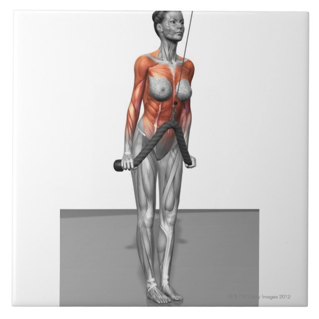 Triceps Push Downs Tile (Front)
