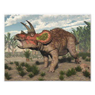 Triceratops dinosaur - 3D render Photo Print