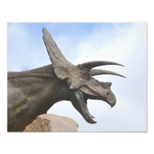 Triceratops Dinosaur Photo Print