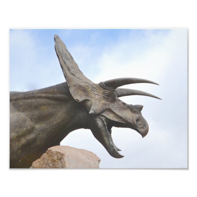 Triceratops Dinosaur Photo Print (Front)