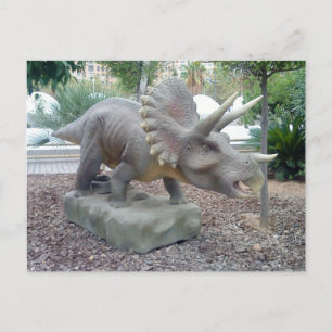 Triceratops Dinosaur Postcard