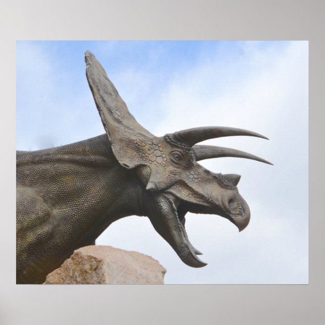 Triceratops Dinosaur Poster (Front)