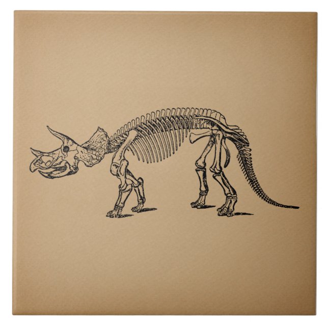 Triceratops Dinosaur Skeleton Prehistoric Art Tile (Front)